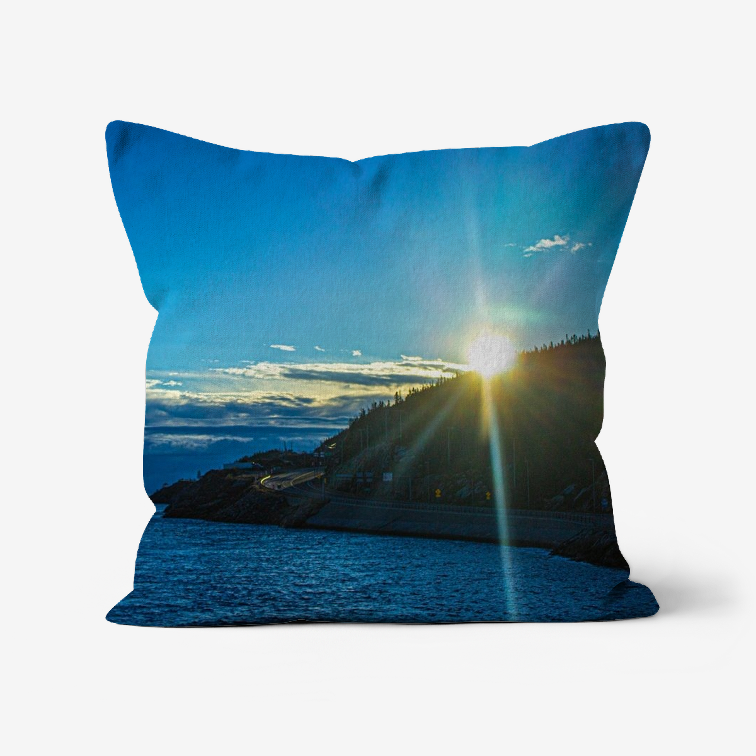 Coussin décoratif WildMind