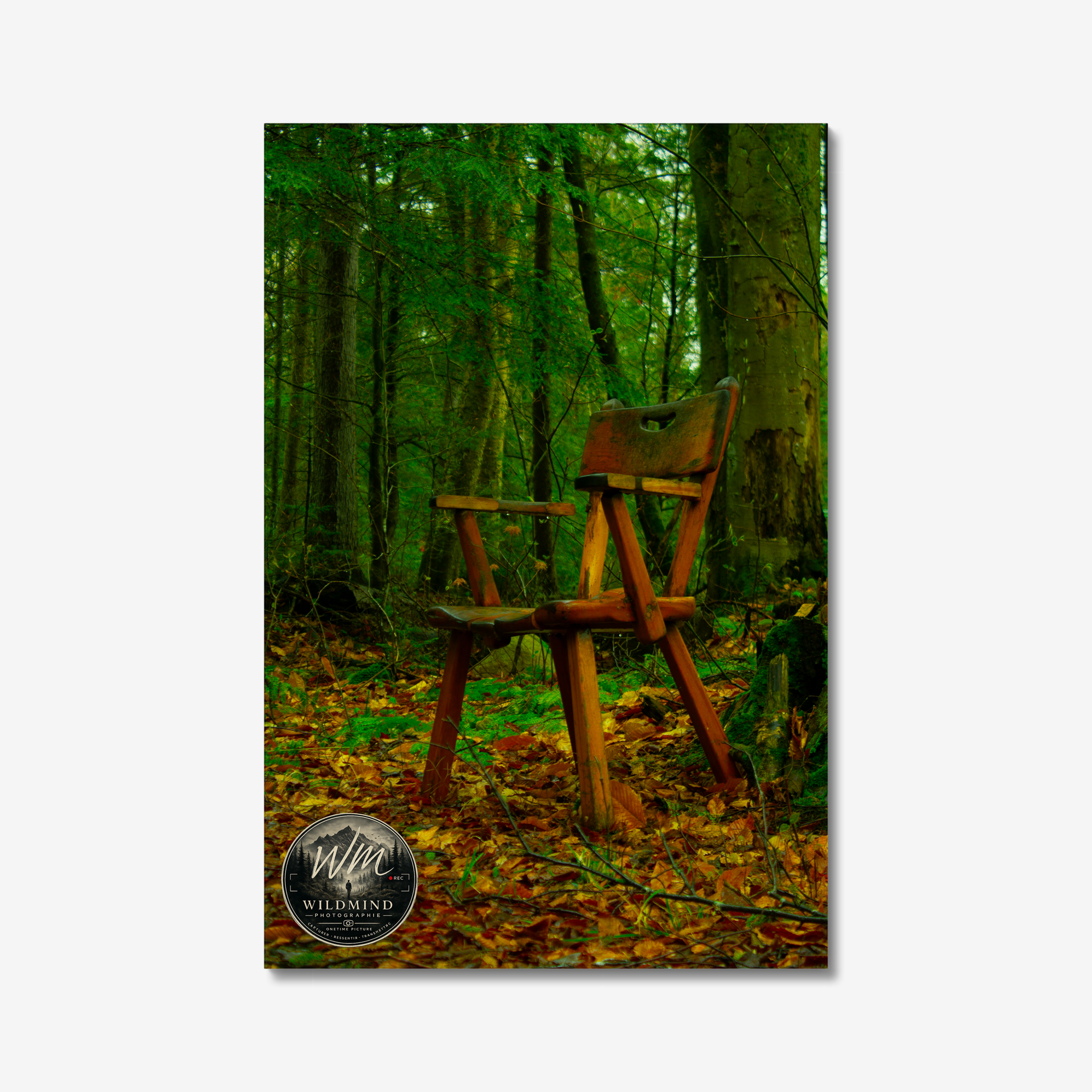 Canvas, photographe taken / Choose your favorites
